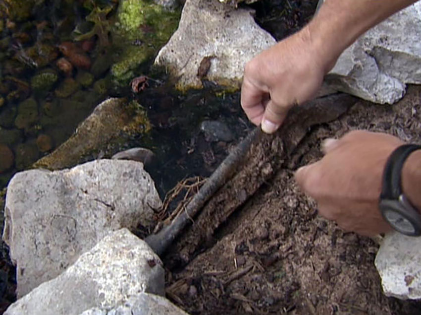 Pond Repair, Pond Pump & Pond Liner Repair Hoaglandscape Charlotte